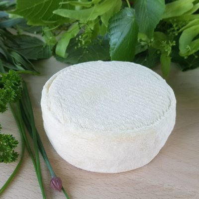 Petit fromage crémeux bio
