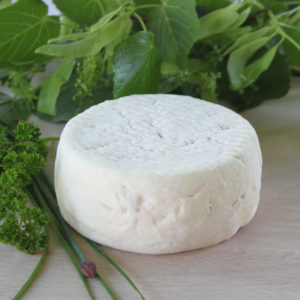 petit fromage de chèvre rfrais bio