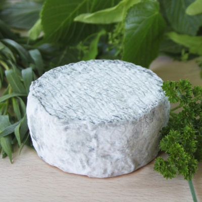 Petit fromage de chèvre cendré bio